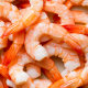 Shrimp 