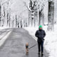 Chris Weber takes his dog Finnigan for a walk after a winter storm in Leawood, Kan. on Jan. 9, 2024.