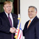 Donald Trump shakes hands with Viktor Orban.