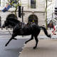 London horse incident