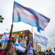 People wave a Transgender Pride flags