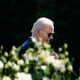 Joe Biden walking in the garden