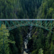 Washington state's High Steel Bridge surrounded by trees.