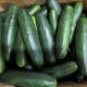 A box filled with cucumbers