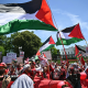 Pro-Palestinian demonstrators rally Israel's actions in Gaza
