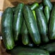 A box of cucumbers.