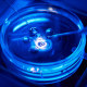 Closeup of intracytoplasmic sperm injection being performed in Petri dish