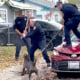 Firefighters defend themselves from a dog that was involved in a deadly dog attack in San Antonio, on Friday.