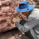 Fossils in Hong Kong