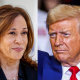 A split composite of Harris and Trump.