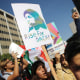 Protesters hold signs as they rally