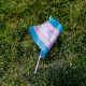 A transgender flag sits on the grass.