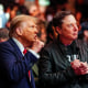 President-elect Donald Trump and Elon Musk