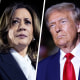 side-by-side side by side of Joe Biden, Kamala Harris, Donald Trump politics political politicians