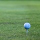 Golf ball on field.