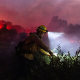 Firefighters work against a fast-moving wildfire on November 6, 2024 in Moorpark, Calif.