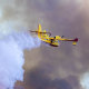 Super Scoopers in L.A.