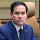 Image: marco rubio politics political politician mike waltz