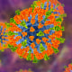 An illustration of the measles virus. 