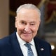 Chuck Schumer smiles during a television interview