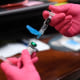 A measles, mumps and rubella vaccine is prepared