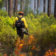 NASA scientists studying a prescribed burn at Fort Stewart, an army base in Georgia, on April 14, 2025.
