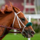 Kentucky Derby.
