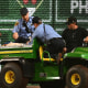 Image: Chicago Cubs v Pittsburgh Pirates injury injured fan