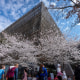 Smithsonian Black Museum Artifacts