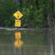 Mississippi River Flood Stage