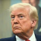 Image: donald trump politics political politician