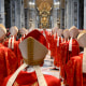 Image: VATICAN-RELIGION-POPE