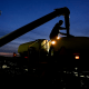 Trump Tariffs Farmers farmer soybean silhouette evening dusk