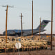 A United States Air Force Boeing C-17 used for deportation flights 