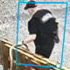 A footage screenshot of a person walking outside while wheeling items