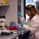 Servier Pharmaceuticals Expands Boston Presence