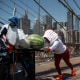 Heat Wave Weather brooklyn bridge fruit vendor