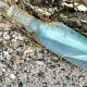 Bottle with a message inside found by Kate and Jon Gay on Scraggane Bay