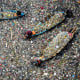 TOPSHOT-INDONESIA-ENVIRONMENT-POLLUTION-PLASTICS