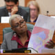 Texas Legislature Redistricting