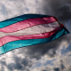  A transgender rights activist holds a flag
