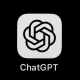 A side by side of the chat GPT logo and a salt shaker