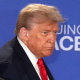 donald trump vladimir putin politics poltiical alaska