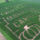 Marriage proposal etched into a 13-acre corn maze.