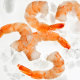 Shrimp