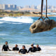 Divers watch as a crane pulls a piece of stone from the sea, with a cityscape in the background