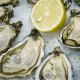 Raw oysters.