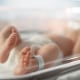 A newborn baby