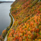 Fall foliage.