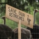 A sign calling for the protection of ostriches at the Universal Ostrich Farms.